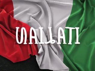 意大利国旗上面覆盖着“意大利”字样.